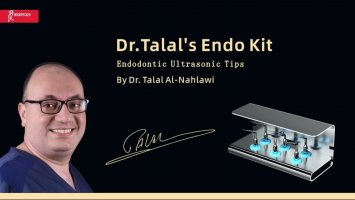 Woodpecker Dr.Talal's Endo Kit