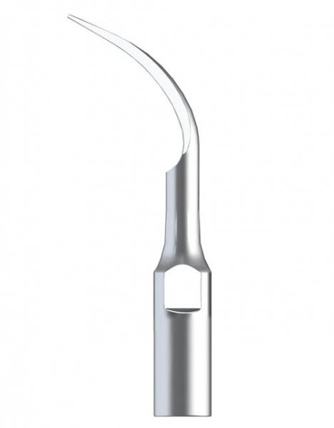 Spitze PD1 Woodpecker®