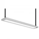 LED Pendelleuchte Special Line P56