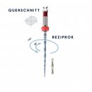 NiTi Reziprok One Feilen Blau zum Reinigen und Formen 6...