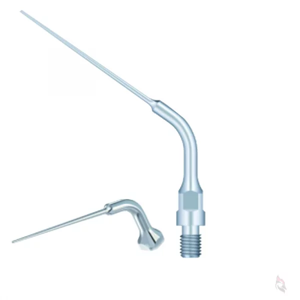 Woodpecker Spitze ES4