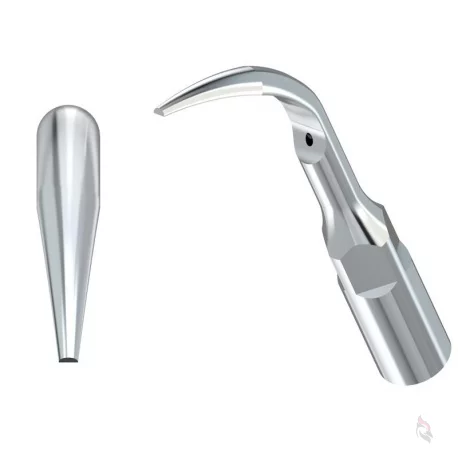 Woodpecker® ZEG Spitze G1