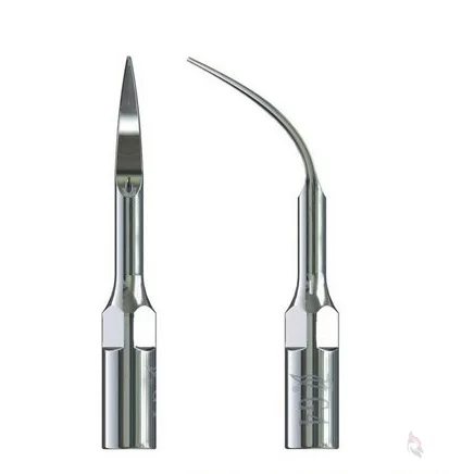 Woodpecker® ZEG Spitze G4