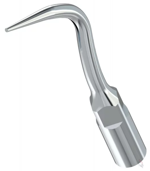 Spitze P4 Woodpecker®