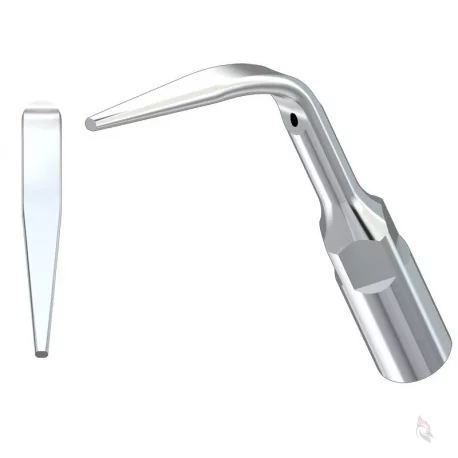 Woodpecker® ZEG Spitze G3