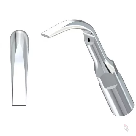 Woodpecker® ZEG-Spitze GD2