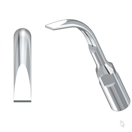 Woodpecker® ZEG-Spitze GD6