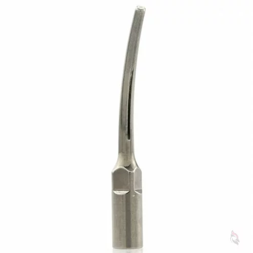 Woodpecker® ZEG-Spitze GD8