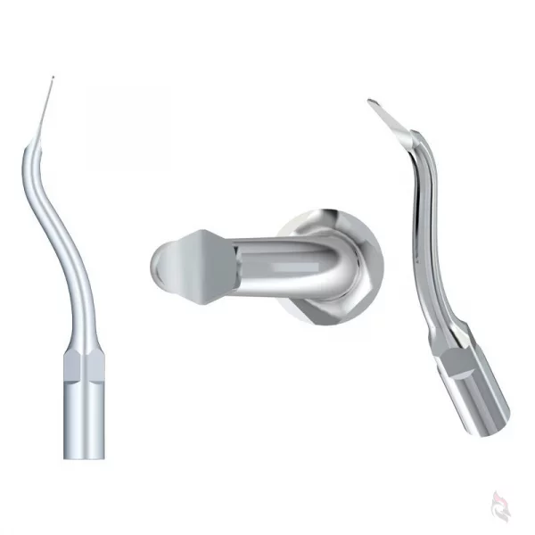 Woodpecker® ZEG-Spitze GD11