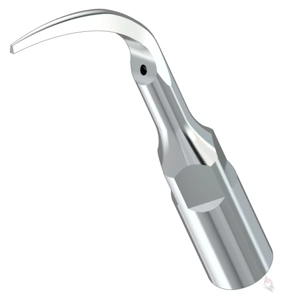 Spitze PD1 Woodpecker®