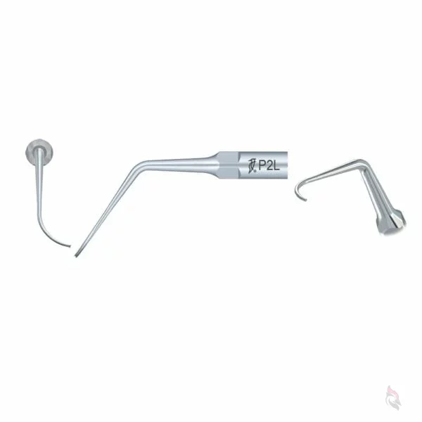 Spitze P2L Woodpecker®