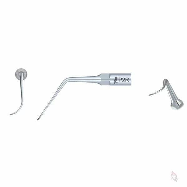 Spitze P2R Woodpecker®