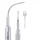 Spitze P10 Woodpecker®