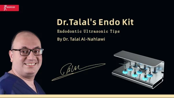 Woodpecker Dr.Talals Endo Kit